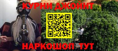 сатива Кандалакша