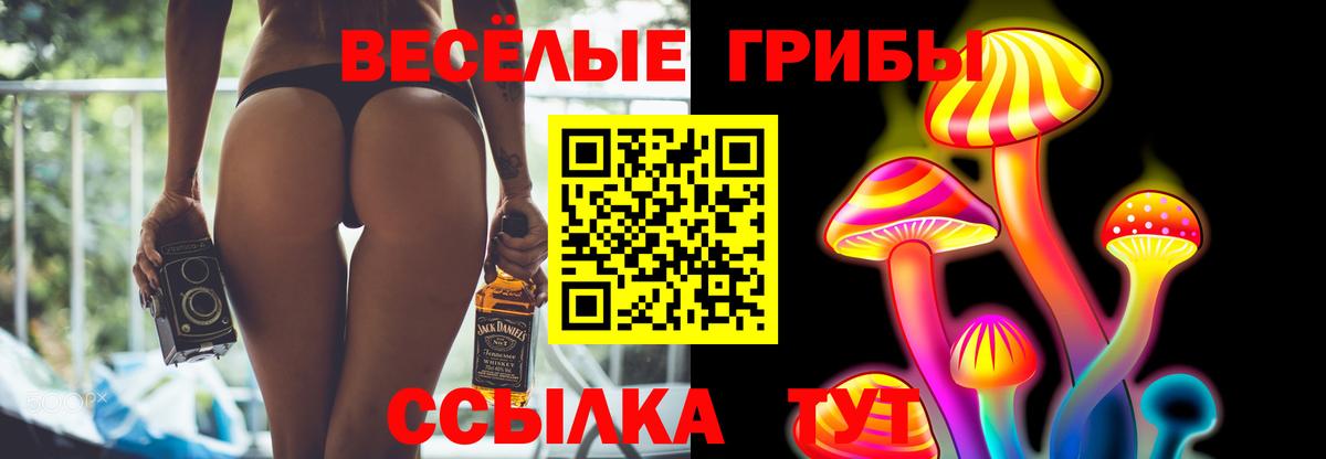 Галлюциногенные грибы прущие грибы Владикавказ